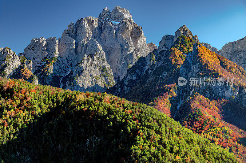 与Sella Somdogna，秋天落叶松，朱利安阿尔卑斯山，意大利，欧洲的蒙塔兹山的观点